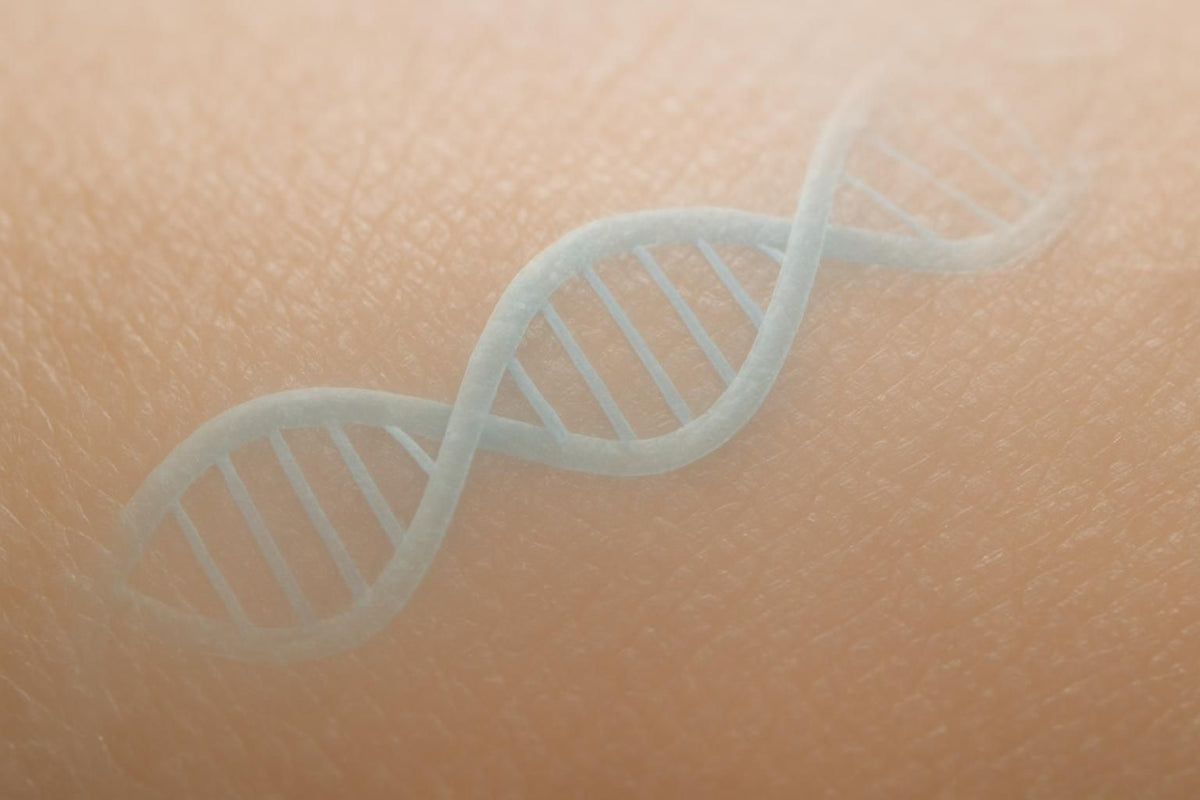 Epigenetica cutanea e invecchiamento: come l'ambiente modifica l'espressione genica della pelle — Remodermis Magazine