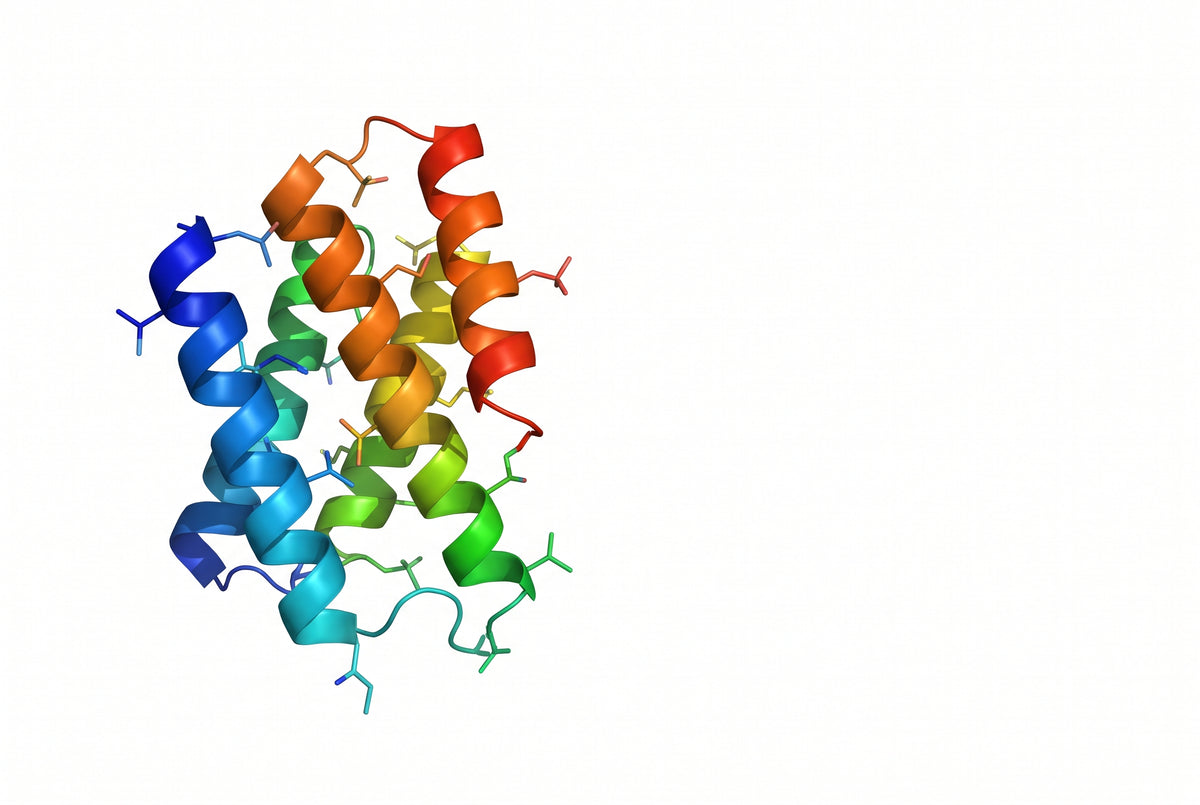 Struttura a nastro di un peptide: eliche alfa e catene laterali